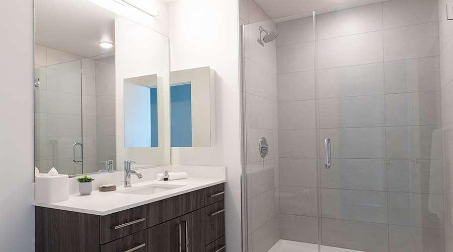 Sentral Michigan Avenue Aparthotel Chicago Eksteriør bilde A shower with a sliding door
